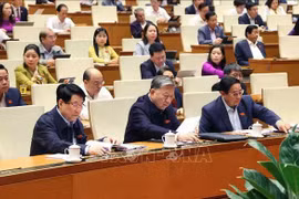 国会代表表决通过《未成年人司法法》。图自越通社