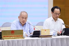越南计划与投资部副部长杜诚忠回答记者提问。图自越通社