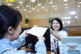 北江省政务服务中心各厅局公务员接受和处理档案。图自越通社