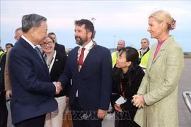 爱尔兰政府官员来到都柏林国际机场为苏林一行送行。图自越通社