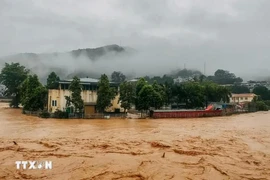 高平省保乐县出现强降雨，造成严重洪灾。图自越通社