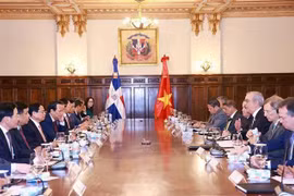 政府总理范明政与多米尼加总统阿比纳德尔举行会谈。图自越通社