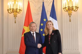 越共中央总书记、国家主席苏林会见了法国国民议会主席雅尔·布劳恩-皮维。图自越通社