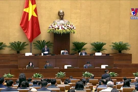 越南第十五届国会第二次特别会议：讨论国家总体规划