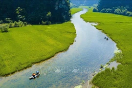 组图：宁平省三谷稻田收割季节的美丽景色