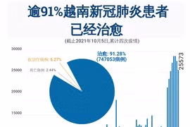 互动图表：逾91%越南新冠肺炎患者已经治愈
