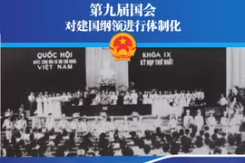 图表新闻：第九届国会：对建国纲领进行体制化