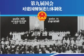 图表新闻：第九届国会：对建国纲领进行体制化