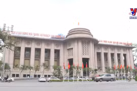 美国财政部继续不将越南列入货币操纵国观察名单