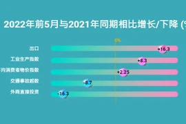 互动图表：2022年前5月越南经济概况