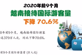 图表新闻：2020年前9个月越南接待游客量下降70.6%