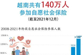 图表新闻：越南共有140万人参加自愿社会保险