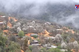2023年山楂花节给游客留下难忘的印象