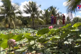 充分发挥槟椥省的生态旅游优势
