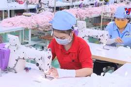 越南经济发展将超出期望