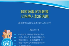 图表新闻：越南采取多项政策以保障人权的实践