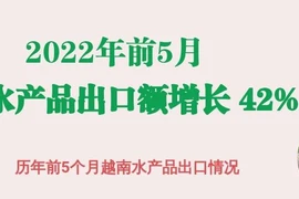 互动图表：2022年前5月越南水产品出口额增长42%