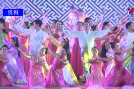2020年顺化文化节将延期到2021年