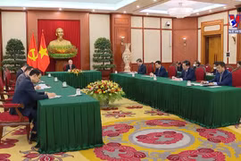 阮富仲总书记与中共中央总书记、国家主席习近平通电话