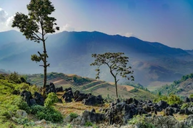 组图：左泙岩石高原的雄伟壮观美景