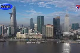 今年上半年五个中央直辖市经济情况盘点