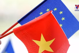 充分利用EVFTA 协定 越南致力打造企业品牌