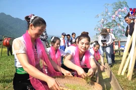 越南莱州省富有民族特色的扁米节