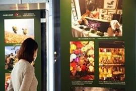 纪念越日建交40周年图片展在日本举行 