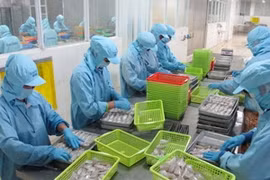 2013年越南林产品出口额达创纪录的50多亿美元