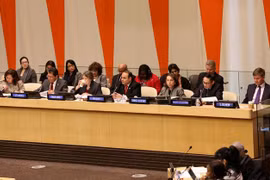 越南主持召开联合国经社理事会高级对话会