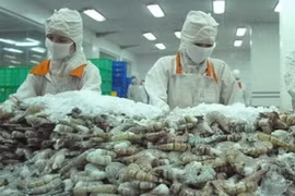 越南要求世贸组织就美方诉越南虾倾销案设立会审组