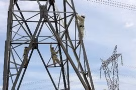 越南政府5月份例行新闻发布会在河内召开