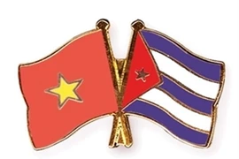 越南与古巴加紧团结友谊 