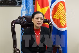 越南常驻联合国代表团团长阮芳娥