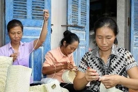 越南注重促进和保障妇女权益