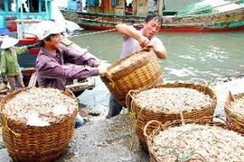 广宁省云屯岛县海港水产运输 