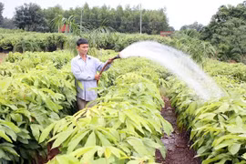 附图