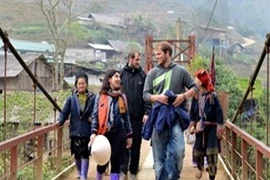 联合国专家：越南应最大限度发挥文化多样性优势