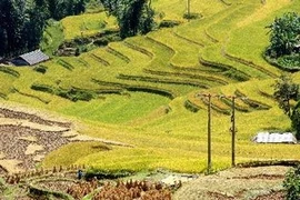 宣光省和东北部各省着重发展旅游业