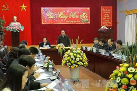 越南政府副总理阮春副在会议上发表讲话