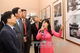 庆祝越中建交65周年图片展在河内举行