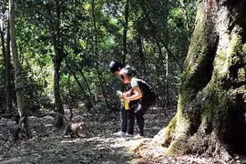 附图