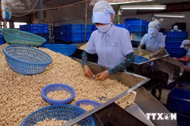 越南同奈省力争到2020年成为工业化省份