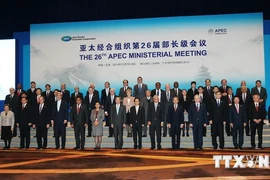 越南政府副总理兼外交部长范平明出席亚太经合组织第26届部长级会议