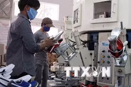 欧洲企业对越南经营前景信心继续提升