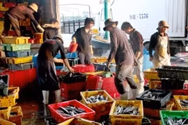 预计2013年越南经济增长率可提升为5.5%