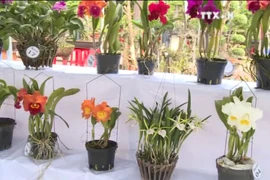 农产品展销会--生产商和销费者对接的桥梁