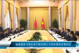 越南国家主席陈大光会见中国全国人大常委会委员长张德江