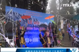 来越南老街省体验沙巴“冬季节”