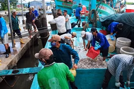 附图（图片来源：越通社）